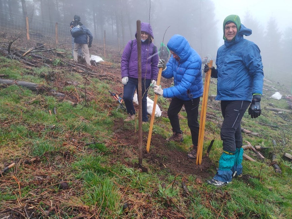 Eibarko Baso Biziak elkarteak urteko lehen zuhaitz landaketa egingo du domekan