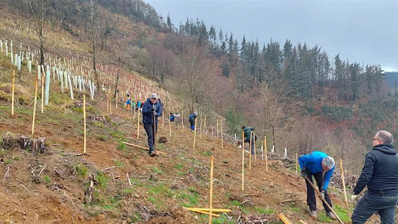 Eibarko Baso Biziak eta Lurgaia elkarlanean ari dira bertako basoa berreskuratzeko