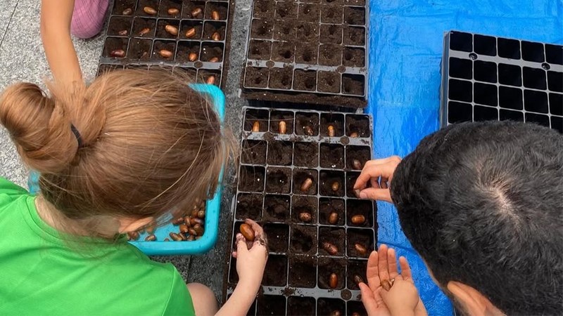 Eibarko Baso Biziak plataformak neguko lehen landaketa egingo du Arrate Balleko Lizarreta eremuan