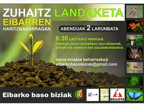 Eibarko Baso Biziak taldeak zapatuan egingo duen zuhaitz-landaketan parte hartzera deitu ditu herritarrak
