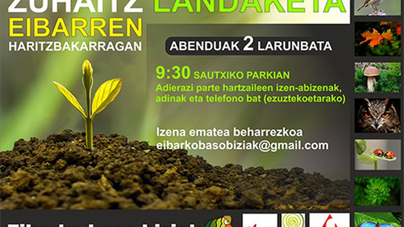 Eibarko Baso Biziak taldeak zapatuan egingo duen zuhaitz-landaketan parte hartzera deitu ditu herritarrak