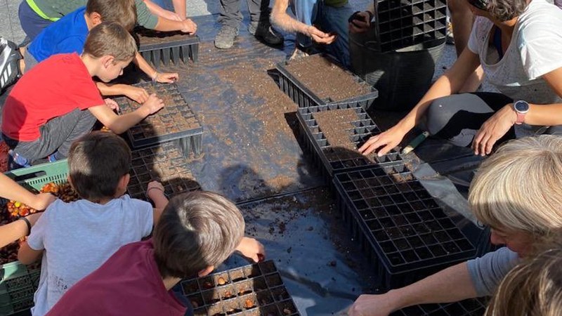 Eibarko basoak ezagutzeko ezkur bilketa antolatu dute domekarako