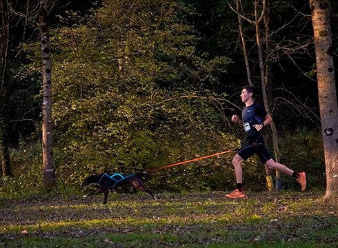 Eibarko III. Txakurkrosa egingo da domekan Arraten