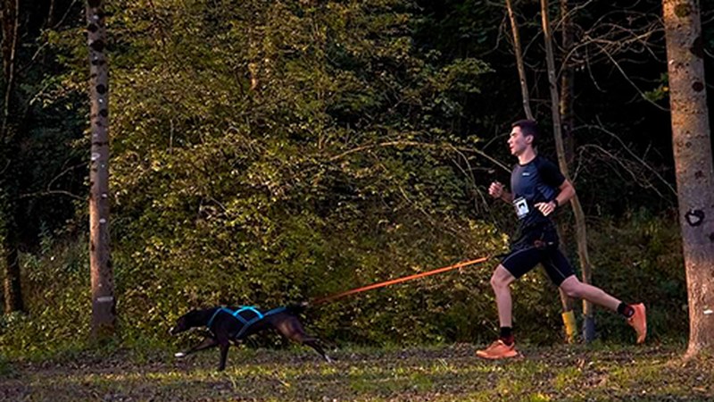 Eibarko III. Txakurkrosa egingo da domekan Arraten