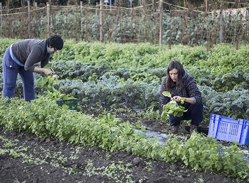 Eibarko kontsumo talde berria aurkeztuko dute maiatzaren 3an