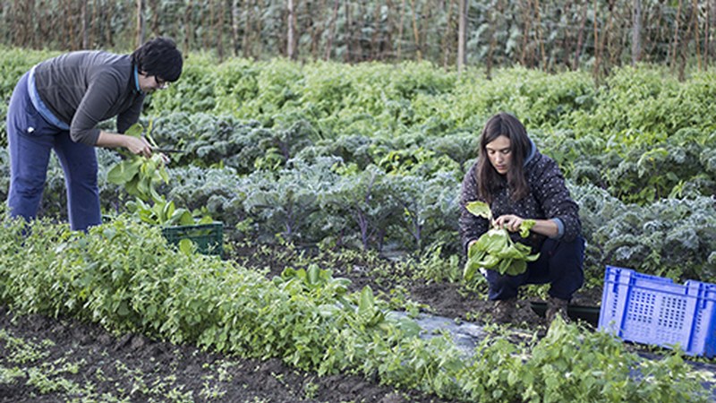 Eibarko kontsumo talde berria aurkeztuko dute maiatzaren 3an
