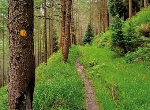 Eibarko Mendi Itzulia bihar 07:00etan abiatuko da Deporretik