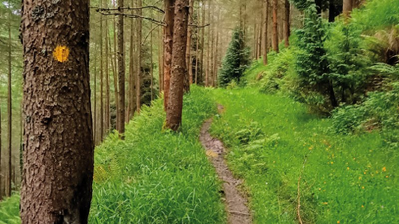 Eibarko Mendi Itzulia bihar 07:00etan abiatuko da Deporretik