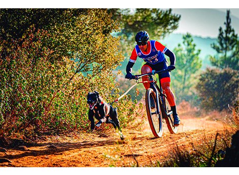 Eibartarren lan txukuna Espainiako Mushing Txapelketan