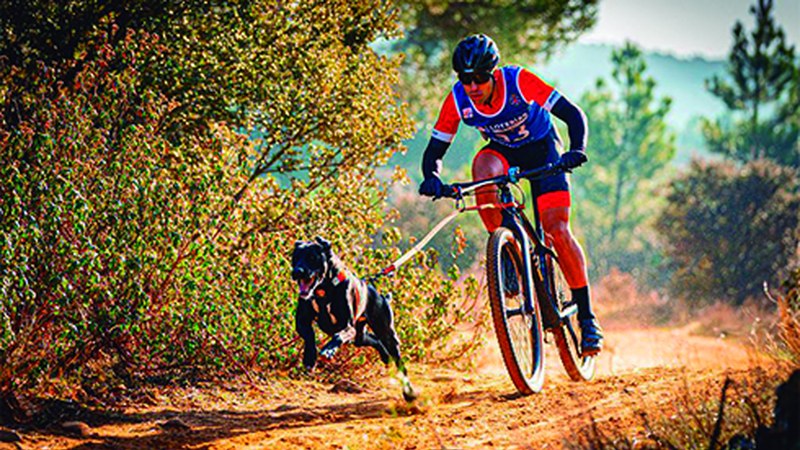 Eibartarren lan txukuna Espainiako Mushing Txapelketan