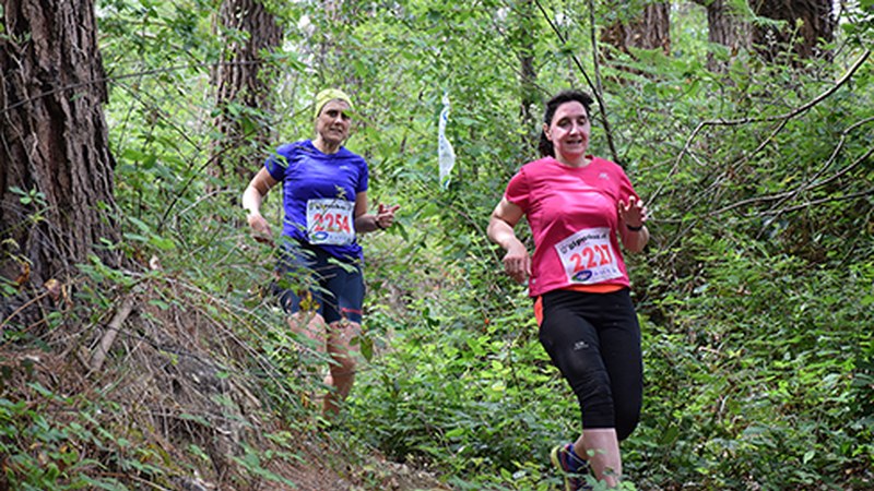 Ekainaren 10ean izango da aurten hamargarren edizioa beteko duen Galdaramiñora igoera