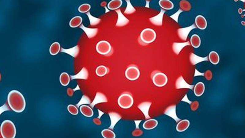 Elgoibar eremu gorrian sartu da eta Eibarko intzidentzia-tasa 414,94ra igo da