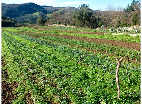 Elikadura, jatea baino gehiago