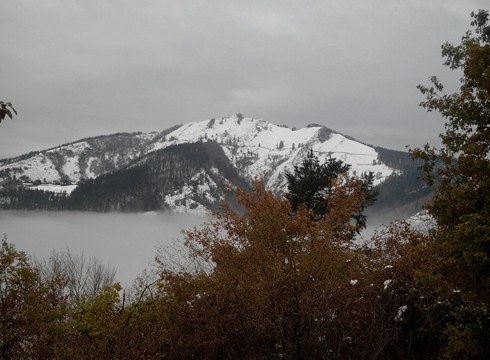 Elurrak Eibar edertu zuen (argazkiak)