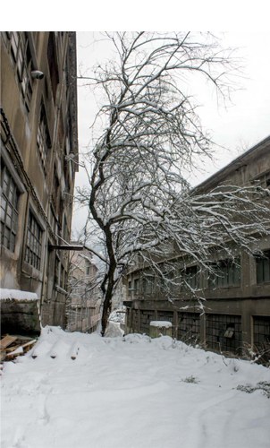 “Elurrarekin dantzan” (Fernando Solana)