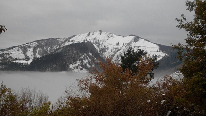 Elurrarengatik abisu horia ezarri dute gaur arratsalderako, eta laranja barixaku eta zapaturako