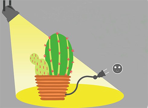 Energia-modeloari buruzko hausnarketa helburu duen "Kaktusa Bizirik" antzezlana eskainiko dute