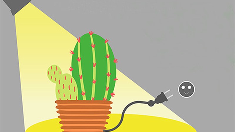 Energia-modeloari buruzko hausnarketa helburu duen "Kaktusa Bizirik" antzezlana eskainiko dute