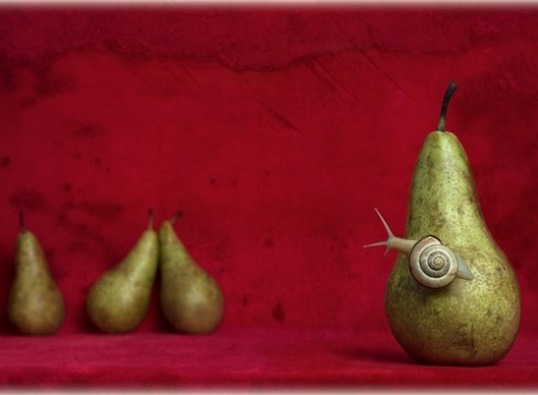 Erakusketek ekingo diote Argazkilaritza Maiatzean programari