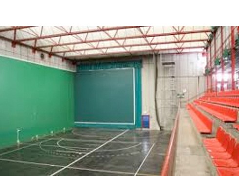 Astelehen eta ostegun bitartean egingo dira PCR probak Ermuko Arizmendi pilotalekuan