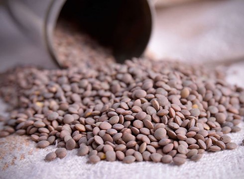 Errefuxiatuentzat lentejak bilduko dituzte Untzagako jubilatu etxean zapatu goizean