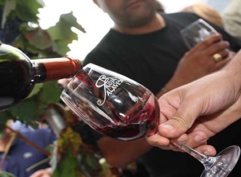 Errioxako ardoak bertatik bertara