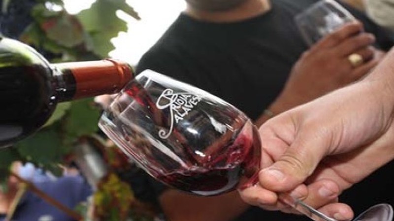 Errioxako ardoak bertatik bertara