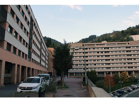 Etxebizitza Asanblada aurkeztuko du bihar Deba Bailarako Kontseilu Sozialistak