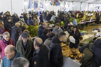 Euri-zaparrada artean ospatu dugu aurten San Andres eguna