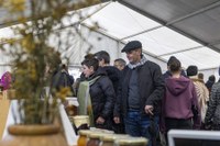 Euri-zaparrada artean ospatu dugu aurten San Andres eguna