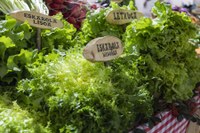 Euri-zaparrada artean ospatu dugu aurten San Andres eguna