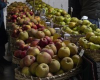 Euri-zaparrada artean ospatu dugu aurten San Andres eguna