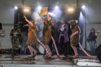 Euriari irri eginez, kolorez blai ospatu genuen Aratoste Zapatua