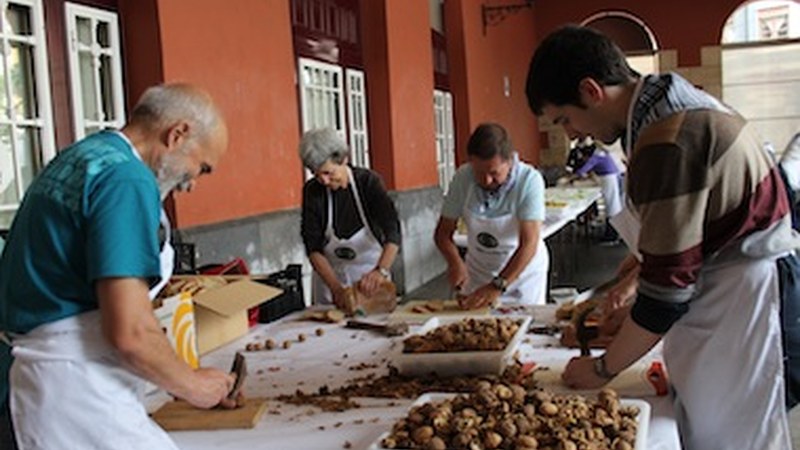 Euskal Jaia 2016 (Maiatzak 28, zapatua)