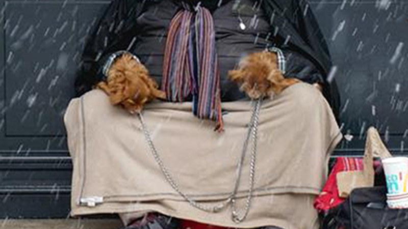 Etxegabeentzako Neguko Protokoloa martxan jartzeko eskatu du EH Bilduk