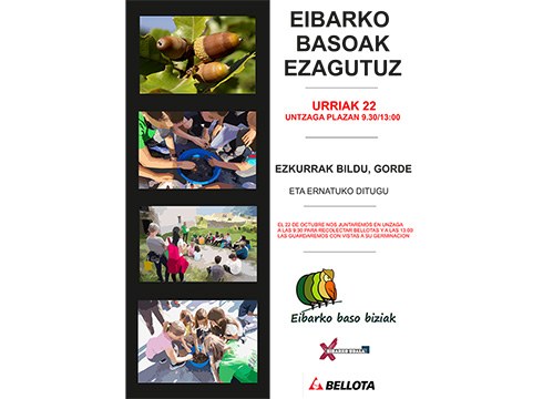 Ezkurrak eta haziak biltzeko irteera antolatu du Eibarko Baso Biziak-ek domekarako