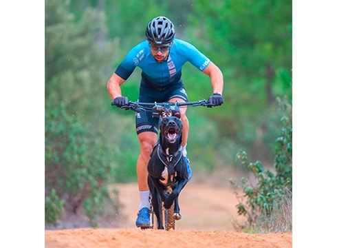 Fabian Castro hirugarren Espainiako Mushing Txapelketan