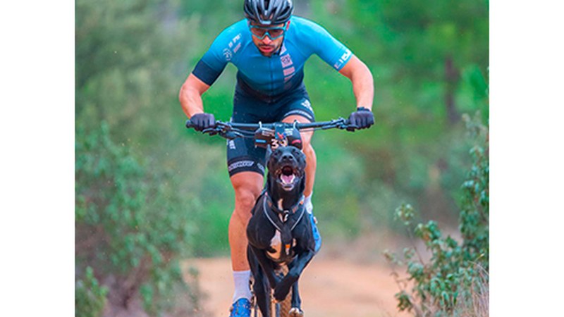 Fabian Castro hirugarren Espainiako Mushing Txapelketan