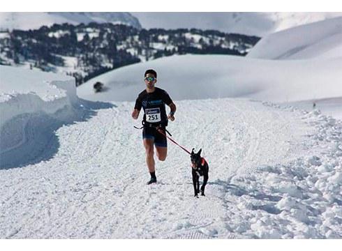 Fabian Castro, txakur-kroslaria: “Nire bizitza txakurrak dira”
