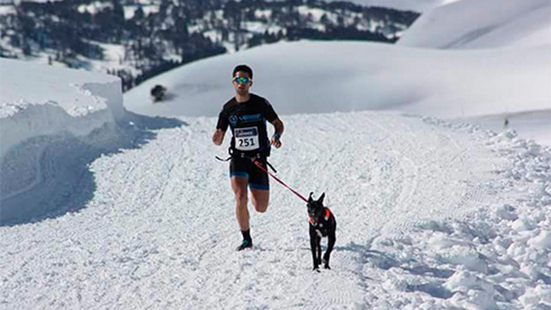 Fabian Castro, txakur-kroslaria: “Nire bizitza txakurrak dira”