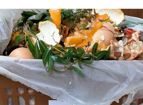 Fruta-denda eta tabernetan materia organikoaren gaikako bilketa sustatzeko kanpaina egin du Mankomunitateak