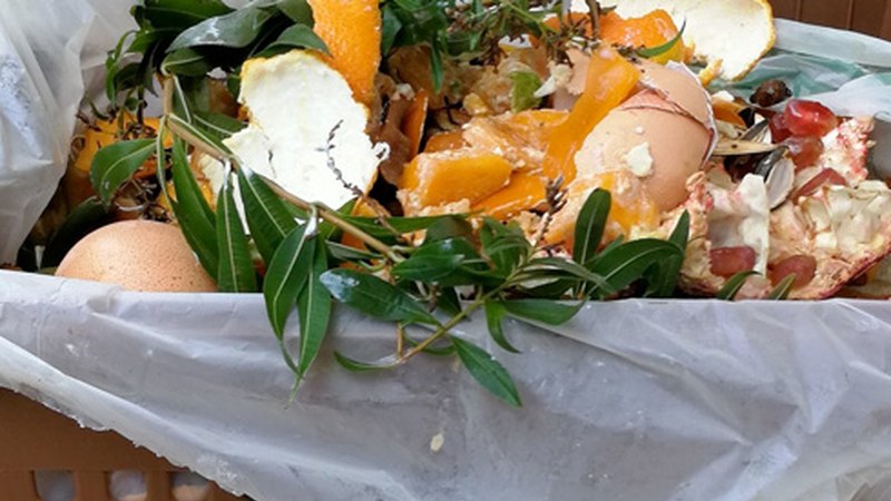 Fruta-denda eta tabernetan materia organikoaren gaikako bilketa sustatzeko kanpaina egin du Mankomunitateak