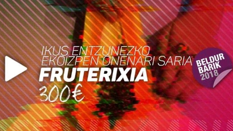 "FruteriXia" lanak saria jaso du Beldur Barik Lehiaketan