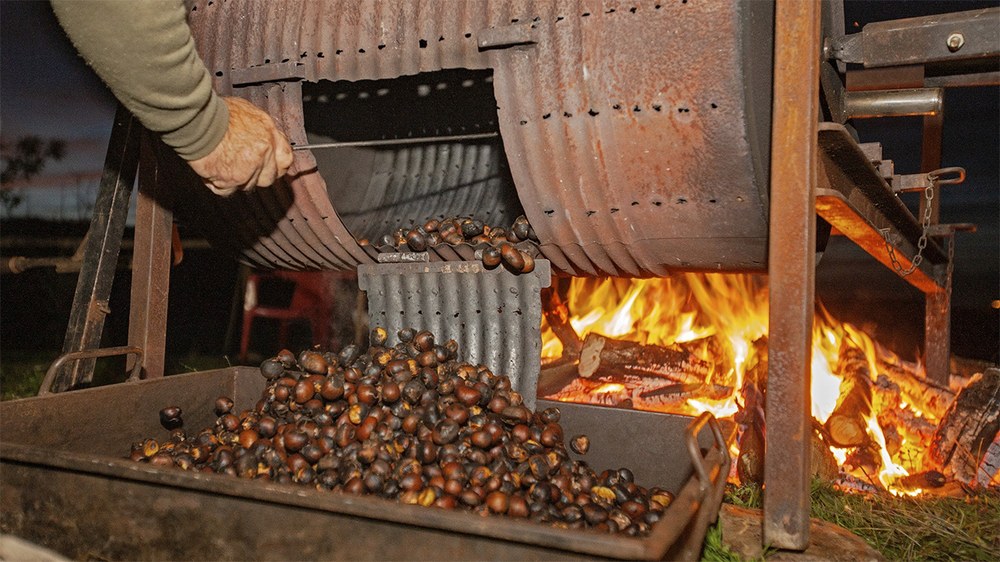 Galiziako Etxekoek "Festa do Magosto" gaztaina festa antolatu dute domekarako