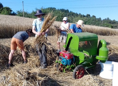 Gari-jotzea izango da gaur Sosola baserrian