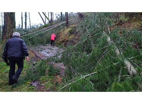 Gauean jausitako pinuek Azitain eta Arrate arteko bidea moztu dute