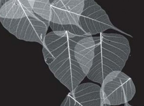 Gaur 19.00etan zabalduko dute "Grafikak" erakusketa Portalean