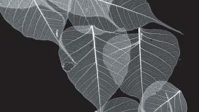 Gaur 19.00etan zabalduko dute "Grafikak" erakusketa Portalean