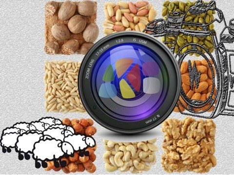 Gaur banatuko dituzte I. San Andres Rallyko sariak Topalekuan