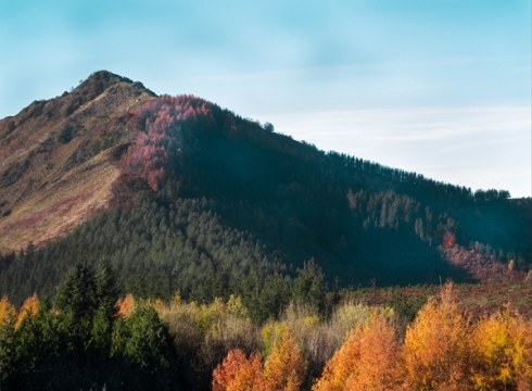 Gaur zabalduko da Irigoienen argazki erakusketa eta salmenta Topalekuan